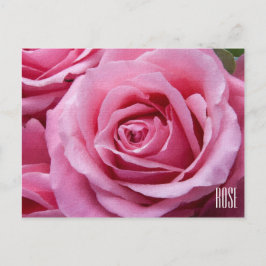 Postal horizontal rosa