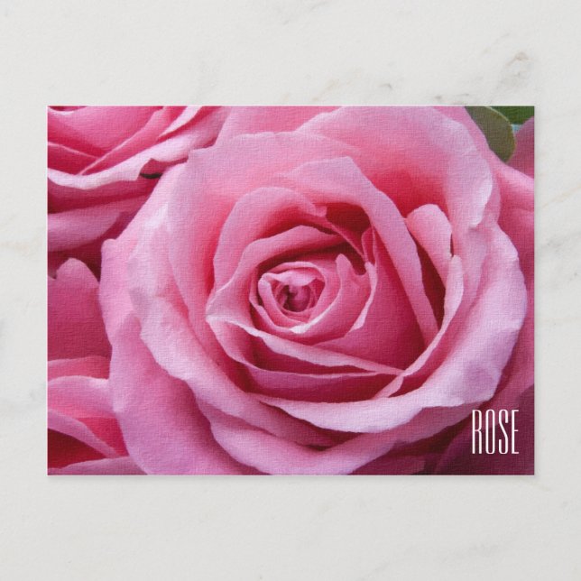 Postal horizontal rosa (Anverso)