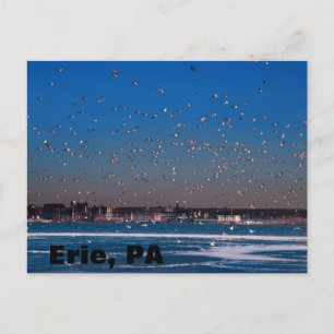 Postal horizonte de Erie, PA