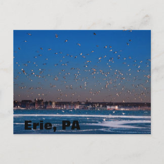 Postal horizonte de Erie, PA