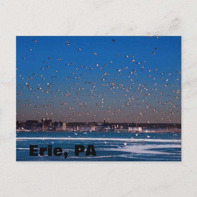 Postal horizonte de Erie, PA (Anverso)