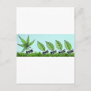 Postal hormiga colocada