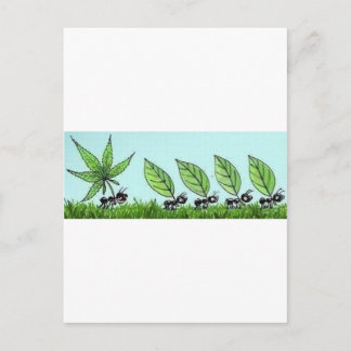 Postal hormiga colocada