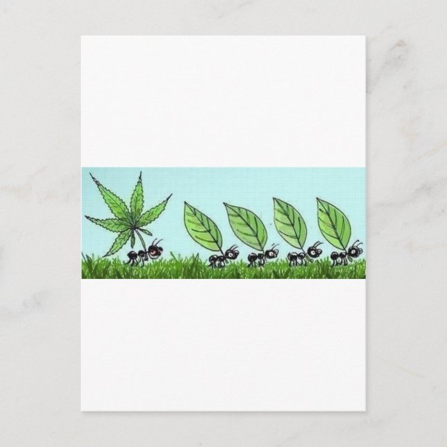 Postal hormiga colocada (Anverso)