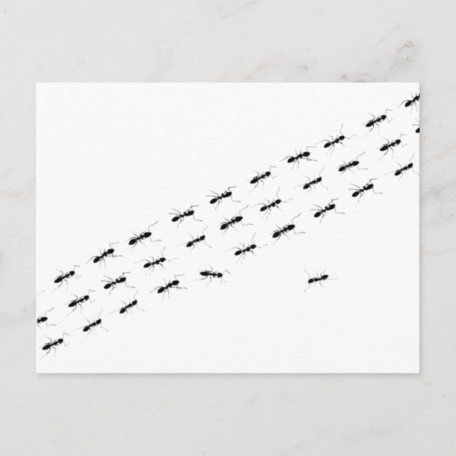 Postal Hormigas independientes (Anverso)