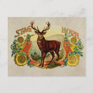 Postal Horn de Stag de Vintage