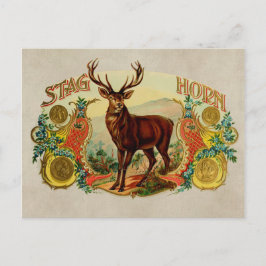 Postal Horn de Stag de Vintage