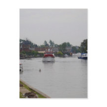 Horning en el río Bure