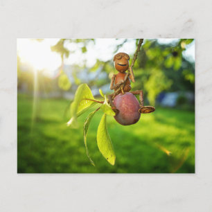 Postal Horno de maíz en el verano del árbol de plumas