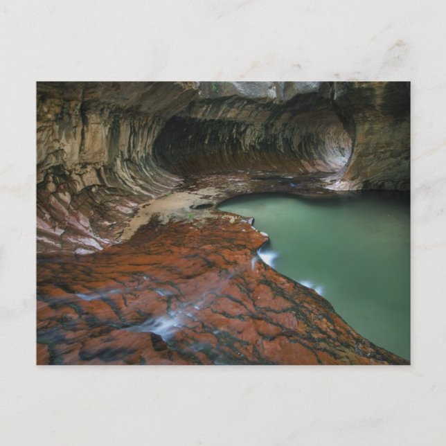 Postal Horquilla izquierda | Parque nacional de Zion, Uta (Anverso)