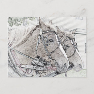 Postal Horse Art 2010 3