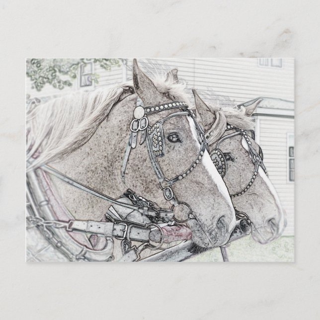 Postal Horse Art 2010 3 (Anverso)