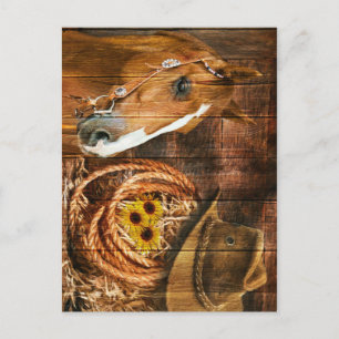 Postal Horse Cowboy Gorra Lasso Sunflower Rusn Barn Board