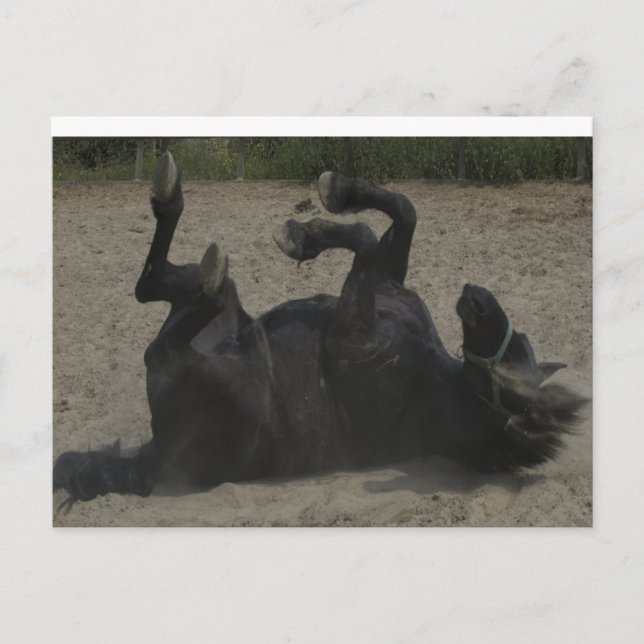 POSTAL HORSE FROLICING (Anverso)