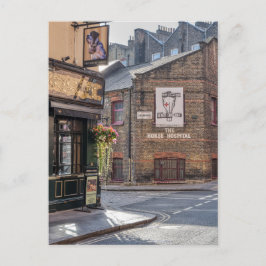 Postal Horse Hospital, Bloomsbury, London UK Postcard