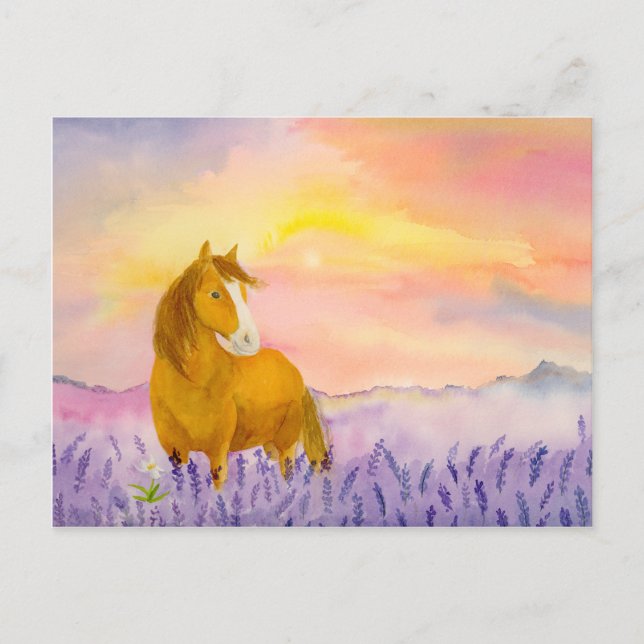 Postal Horse in Lavender Field During Sunset  (Anverso)