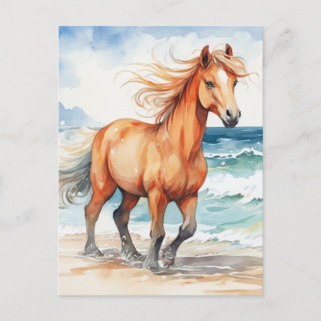 Postal Horse on Beach (Anverso)