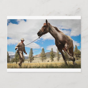Postal Horse Ranch Granja Destino Naturaleza Fondo