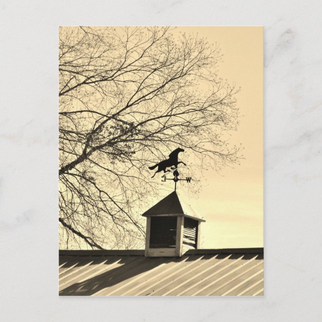 Postal Horse Weather Vane sepia (Anverso)