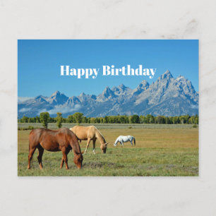 Postal Horses Teton Mountains Fotografía paisajística