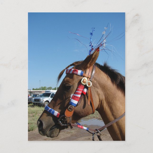 Postal Horsey 4 (Anverso)