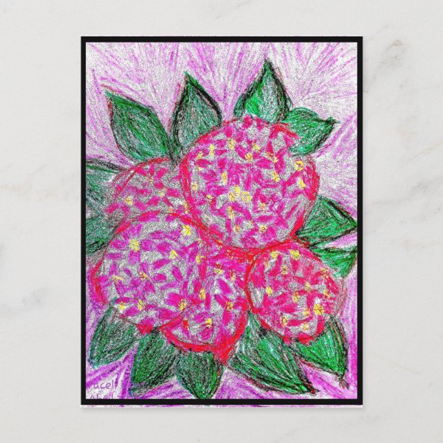 Postal Hortensia macrophylla (Anverso)