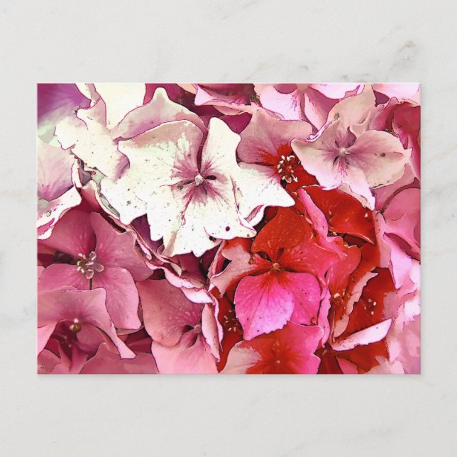 POSTAL HORTENSIA ROSA (Anverso)