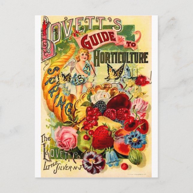 Postal Horticultura (Anverso)
