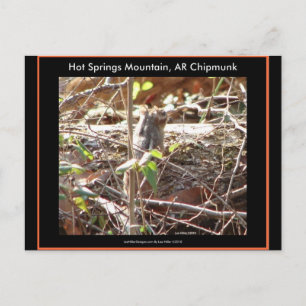 Postal Hot Springs Mountain, Regalos de Chipmunk de Arkan