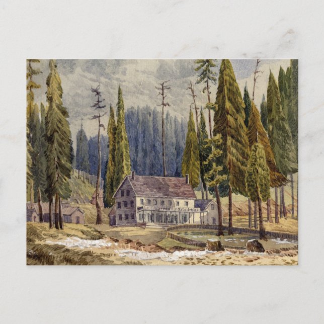 Postal Hotel en el bosque de Mamoth Trees (Anverso)