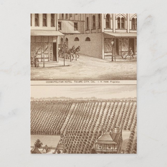 Postal Hotel, viñedo, Tulare (Anverso)