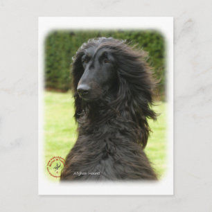 Postal Hound 9T027D-081 afgano