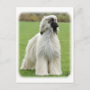 Postal Hound afgano 9Y247D-010