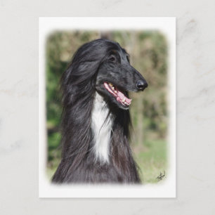 Postal Hound afgano AA017D-101