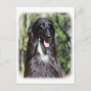 Postal Hound afgano AA017D-119