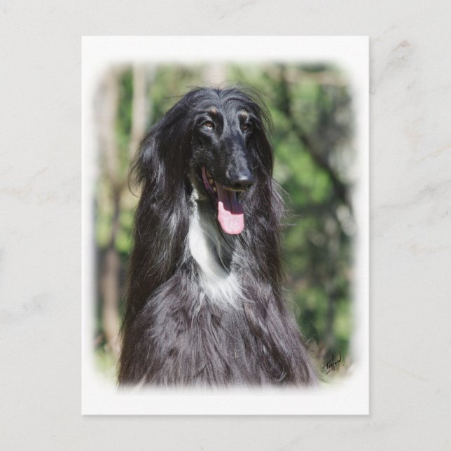 Postal Hound afgano AA017D-119 (Anverso)