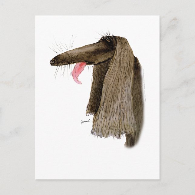 Postal Hound afgano, tony fernandes (Anverso)