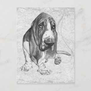 Postal Hound Basset