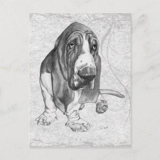Postal Hound Basset