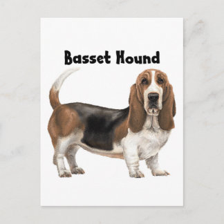 Postal Hound Basset