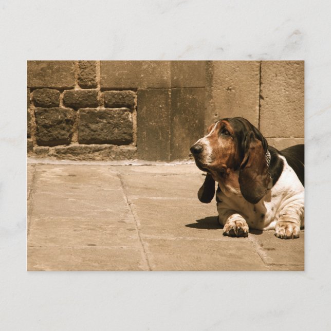 Postal Hound Basset (Anverso)