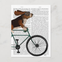 Hound Basset en la bicicleta