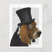 Hound basset, Hound formal y Gorra