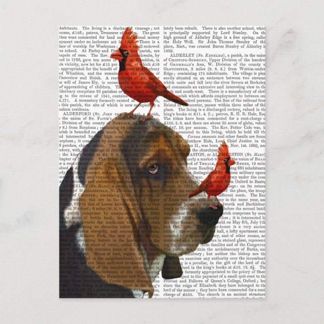 Postal Hound Basset y Aves (Anverso)