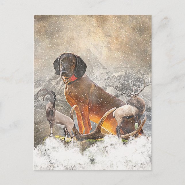 Postal Hound Bavarian Mountain, Arte (Anverso)