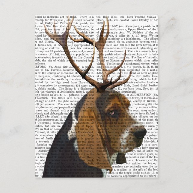 Postal Hound de Basset y Antlers (Anverso)