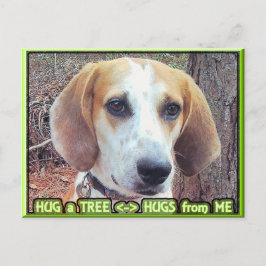 Postal Hound Dog Tree Hugger