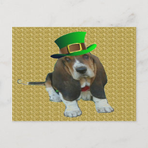 Postal Hound feliz Día de San Patricio con postras