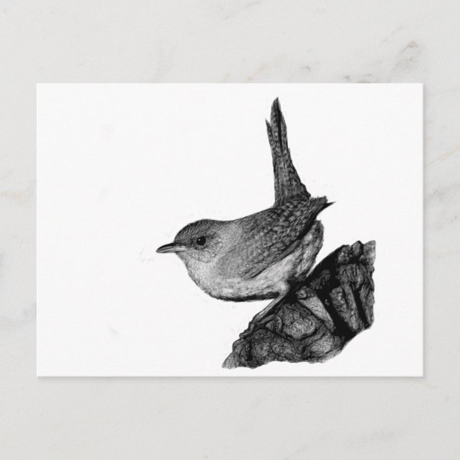 Postal House Wren (Anverso)