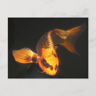 Postal Hover the Great KOI